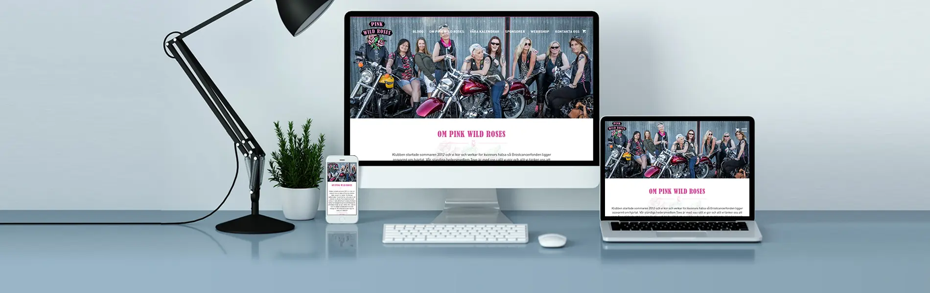 pinkwildroses_01
